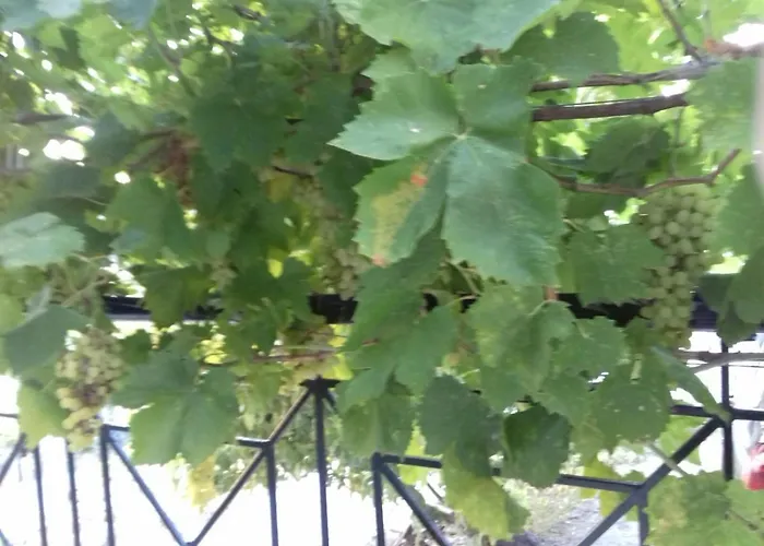 πηλιο- το εξοχικο τησ αννασ- αφησσοσ Feriehus Afissos