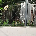 πηλιο- το εξοχικο τησ αννασ- αφησσοσ Casa de Férias *