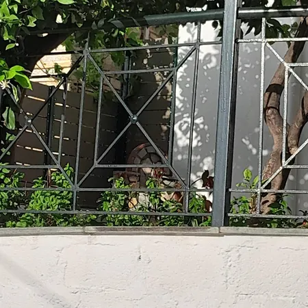 πηλιο- το εξοχικο τησ αννασ- αφησσοσ Дом отдыха *